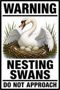 Warning Nesting Swans Do Not Approach 4x6 vinyl sticker
