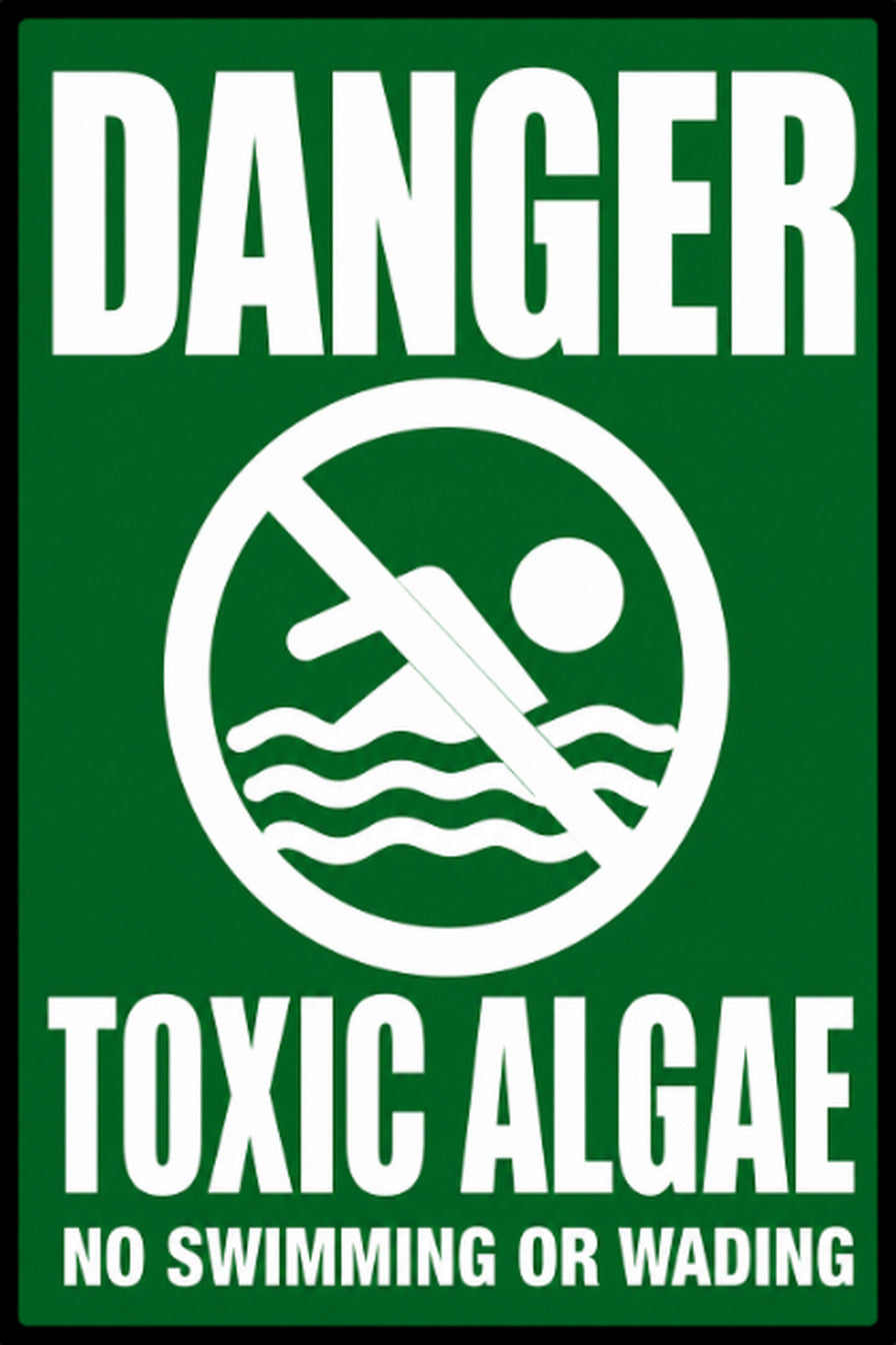 Danger Toxic Algae No Swimming or Wading 4x6 vinyl sticker