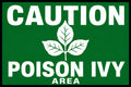 Caution Poison Ivy Area 4x6 vinyl sticker