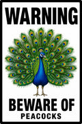 Warning Beware of Peacocks 4x6 vinyl sticker
