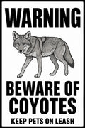 Warning Beware of Coyotes 4x6 vinyl sticker