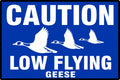 Caution Low Flying Geese 4x6 vinyl sticker